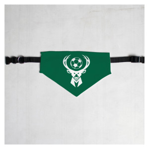 Pet Bandana with Black Collar