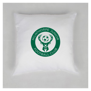 Cushion
