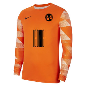 Nike Park IV Goalkeeper Dri-FIT Jersey