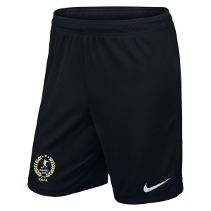 Nike Dri-FIT Park III Shorts