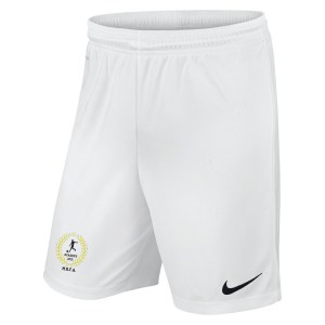 Nike Dri-FIT Park III Shorts