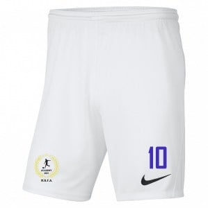 Nike Park III Shorts