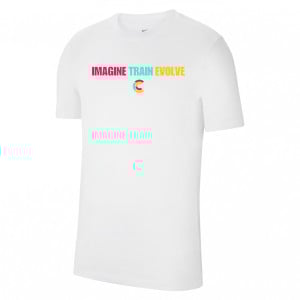 Nike Team Club 20 Cotton T-Shirt (M)