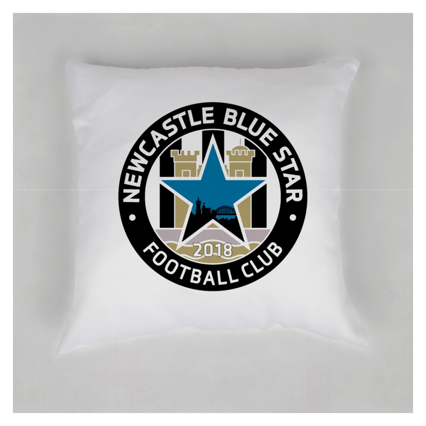 Cushion