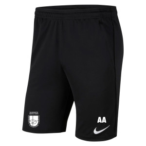 Nike Park 20 Pocketed Shorts (M)
