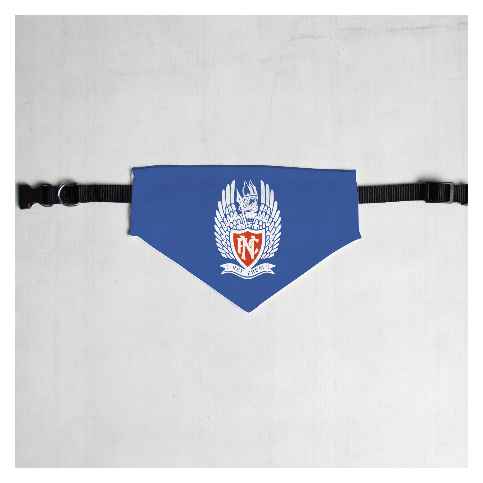 Pet Bandana with Black Collar