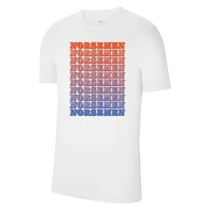 Nike Team Club 20 Cotton T-Shirt (M)