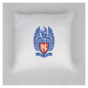 Cushion