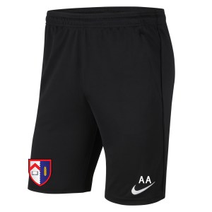 Nike Park 20 Pocketed Shorts (M)