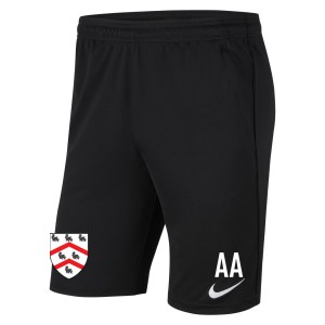 Nike Park 20 Pocketed Shorts (M)