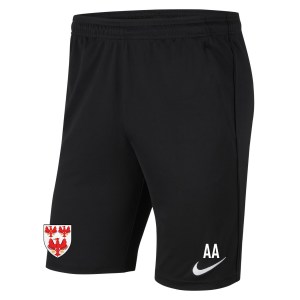 Nike Park 20 Pocketed Shorts (M)