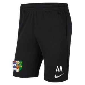 Nike Park 20 Pocketed Shorts (M)