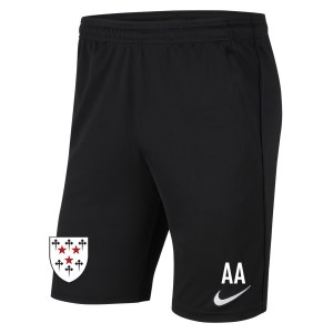 Nike Park 20 Pocketed Shorts (M)