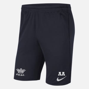 Nike Park 20 Pocketed Shorts (M)