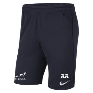 Nike Park 20 Pocketed Shorts (M)