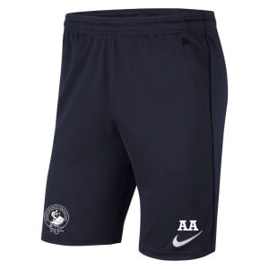 Nike Park 20 Pocketed Shorts (M)