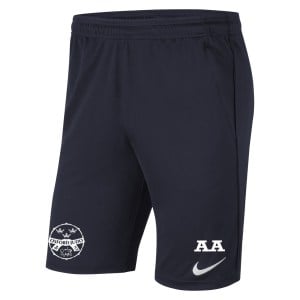 Nike Park 20 Pocketed Shorts (M)