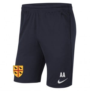 Nike Park 20 Pocketed Shorts (M)