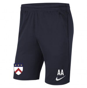 Nike Park 20 Pocketed Shorts (M)