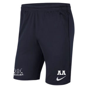 Nike Park 20 Pocketed Shorts (M)