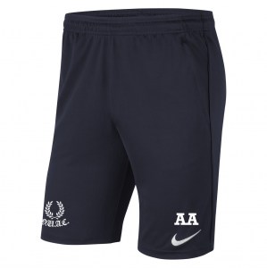 Nike Park 20 Pocketed Shorts (M)