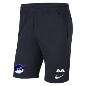 Nike Park 20 Pocketed Shorts (M)