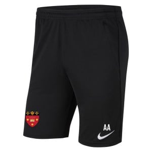 Nike Park 20 Pocketed Shorts (M)