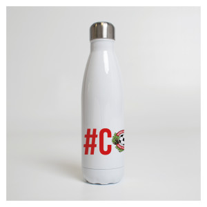 Premium Steel Water Bottle