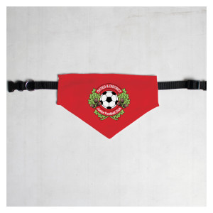 Pet Bandana with Black Collar