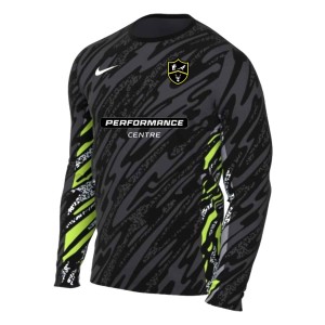 Nike Dri-Fit Gardien V Goalkeeper LS Jersey