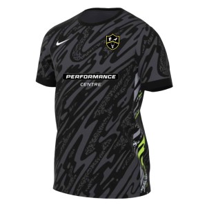 Nike Dri-Fit Gardien V Goalkeeper Jersey SS