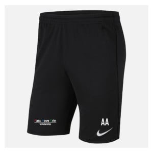 Nike Park 20 Pocketed Shorts (M)