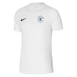 Nike Dri-Fit Strike III Jersey