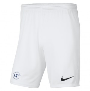 Nike Park III Shorts - White/Black