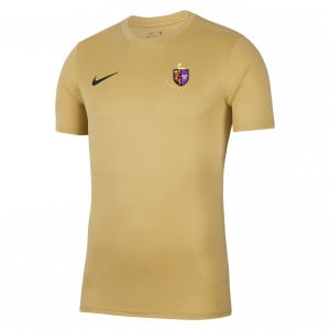 Nike Park VII Dri-FIT Short Sleeve Shirt Jersey Gold-Black