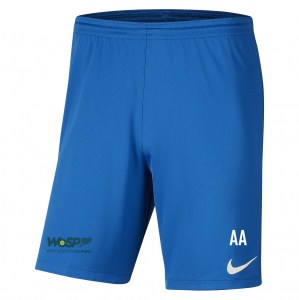 Nike Park III Shorts Royal Blue-White