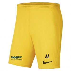 Nike Park III Shorts Tour Yellow-Black