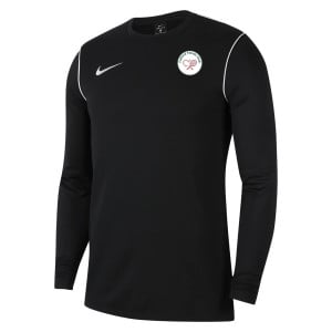 Nike Dri-FIT Park 20 Crew Top