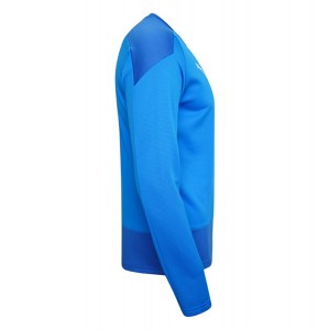 Puma Goal Training Sweat