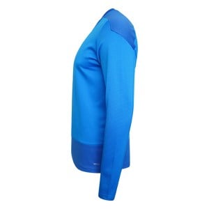 Puma Goal Training Sweat