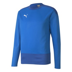 Puma Goal Training Sweat