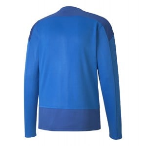 Puma Goal Training Sweat