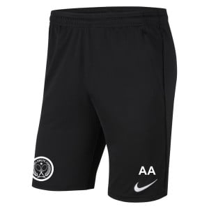 Nike Park 20 Pocketed Shorts (M)