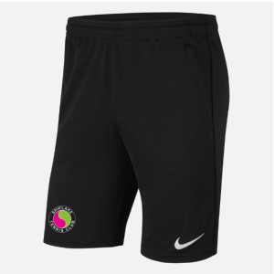 Nike Park 20 Pocketed Shorts (M)