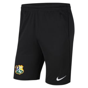 Nike Park 20 Pocketed Shorts (M) Black-Black-White