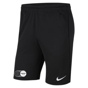 Nike Park 20 Pocketed Shorts (M)