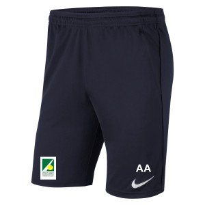 Nike Park 20 Pocketed Shorts (M)