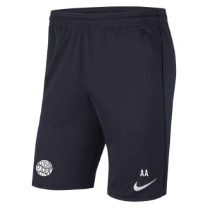 Nike Park 20 Pocketed Training Shorts (W)