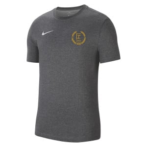 Nike Park 20 T-Shirt Charcoal Heather-White