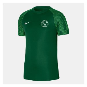 Nike Academy Short Sleeve Jersey Pine Green-Hyper Verde-White